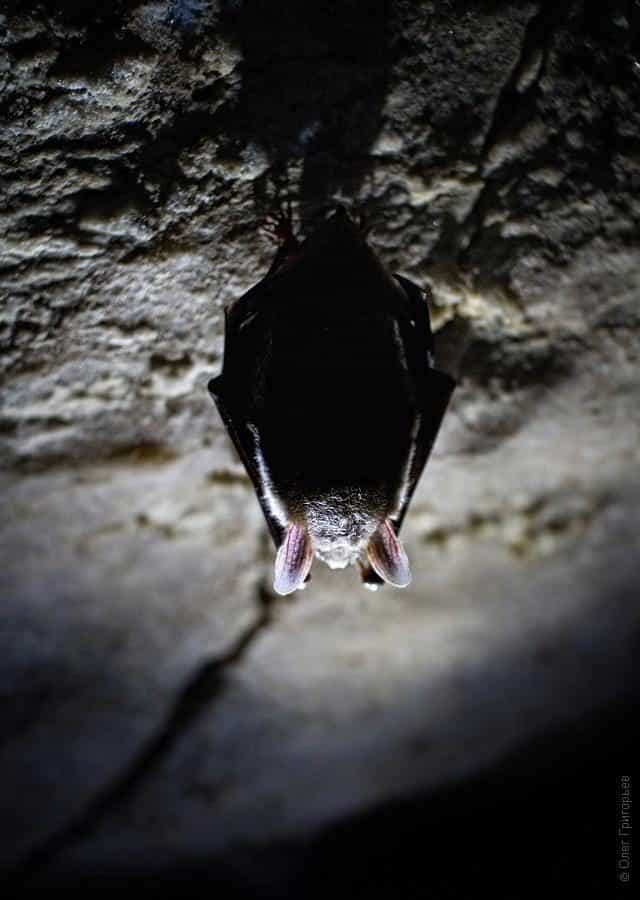Cueva de cristal 17 cuevas-de-cristal-en-ucrania-24-7830235-8662516