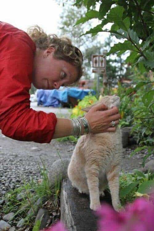 El alcalde de un pueblo de Alaska es un gato (un gato de verdad) 17