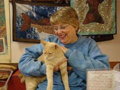 El alcalde de un pueblo de Alaska es un gato (un gato de verdad) 20