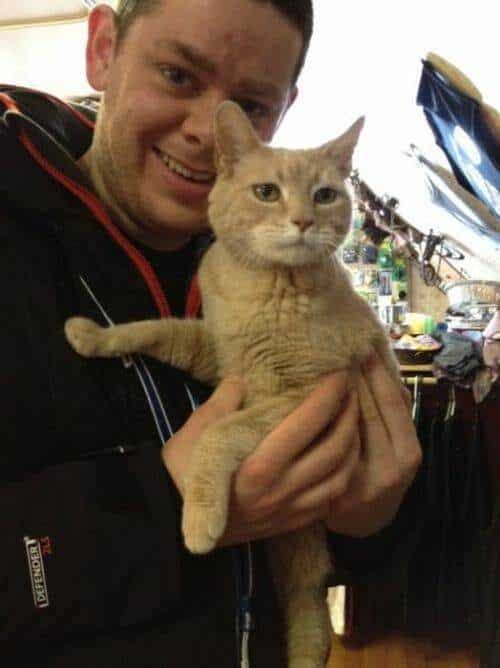 El alcalde de un pueblo de Alaska es un gato (un gato de verdad) 6