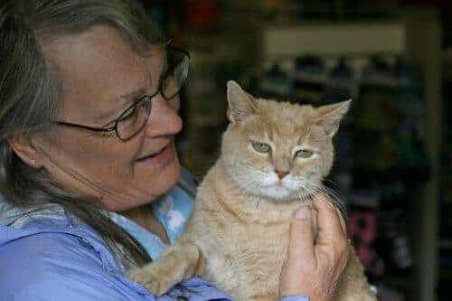 El alcalde de un pueblo de Alaska es un gato (un gato de verdad) 7