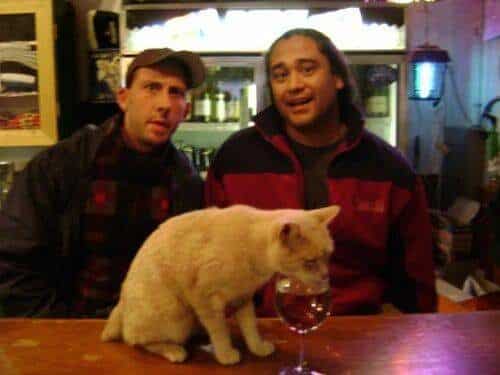 El alcalde de un pueblo de Alaska es un gato (un gato de verdad) 8