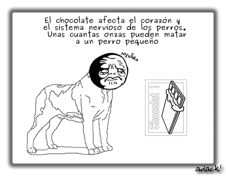 40 Cosas que no sabias.. 16 noticias 40 Cosas que no sabias..