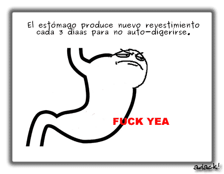 40 Cosas que no sabias.. 22 noticias 40 Cosas que no sabias..