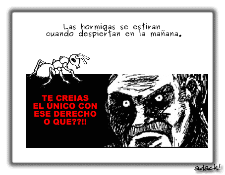 40 Cosas que no sabias.. 28 noticias 40 Cosas que no sabias..