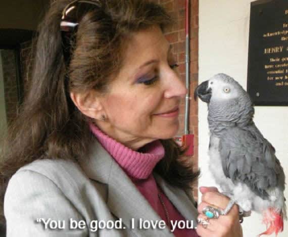 noticias Pruebas de que los animales tienen sentimientos