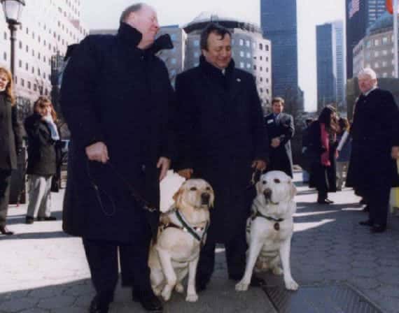 noticias Pruebas de que los animales tienen sentimientos