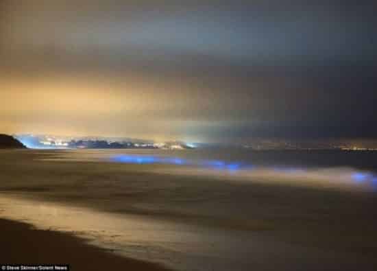 Una misteriosa luz azul aparece en playas de California 3 noticias Una misteriosa luz azul aparece en playas de California