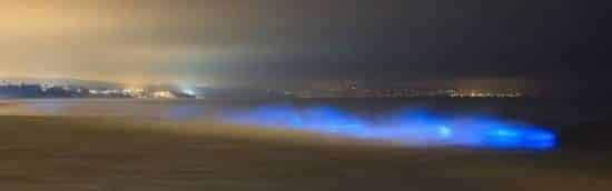 Una misteriosa luz azul aparece en playas de California 4 noticias Una misteriosa luz azul aparece en playas de California