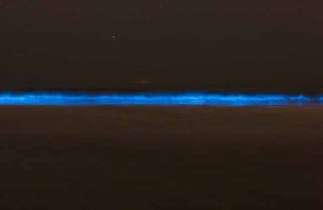 Una misteriosa luz azul aparece en playas de California 6 noticias Una misteriosa luz azul aparece en playas de California