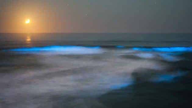 Una misteriosa luz azul aparece en playas de California 7 noticias Una misteriosa luz azul aparece en playas de California