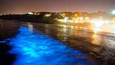 Una misteriosa luz azul aparece en playas de California 8 noticias Una misteriosa luz azul aparece en playas de California