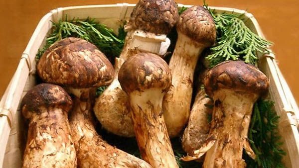 noticias los alimentos más caros del mundo