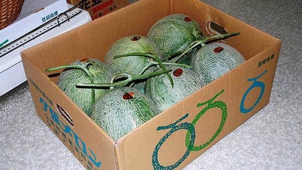 noticias los alimentos más caros del mundo