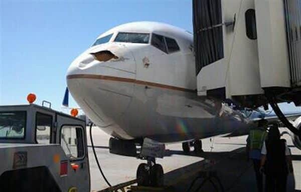 Impresionante impacto de un pájaro contra un Boeing que estaba aterrizaba 4