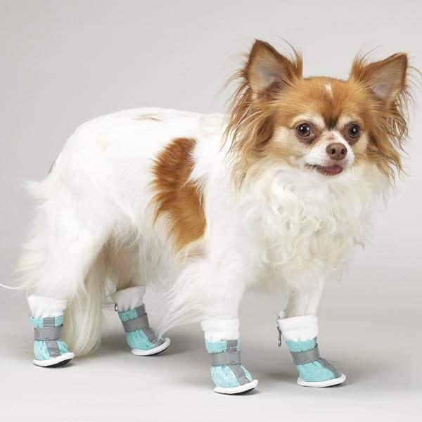 Zapatos protectores para perros