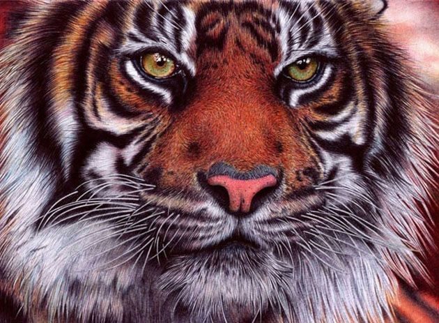 Fotos ultra realistas dibujadas con bolígrafos 7