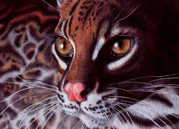 Fotos ultra realistas dibujadas con bolígrafos 6