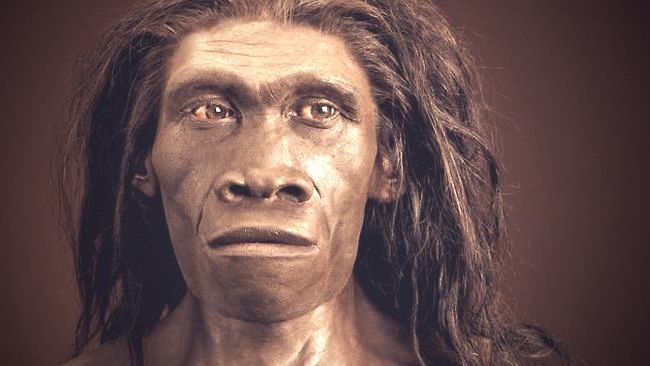En África coexistieron otros dos tipos de especies junto al Homo Erectus 3