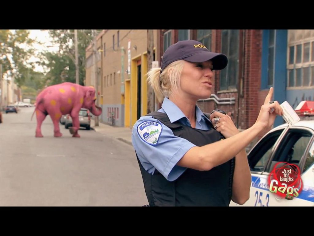 Agente acabo de ver un Elefante rosa con lunares amarillos 1