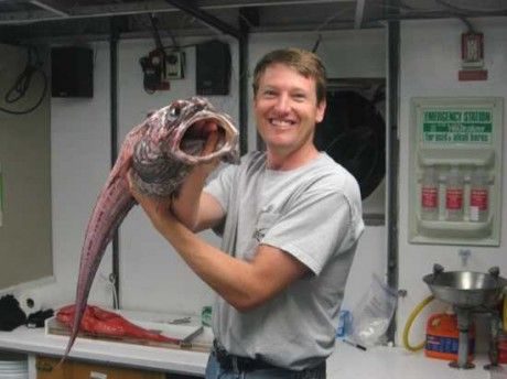 noticias Los animales más extraños