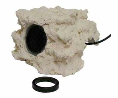 Productos curiosos y útiles para tus mascotas 8