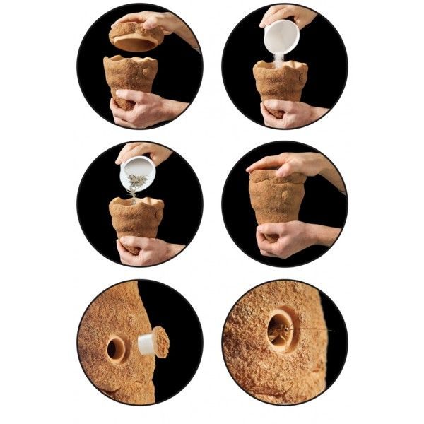 Productos curiosos y útiles para tus mascotas 12