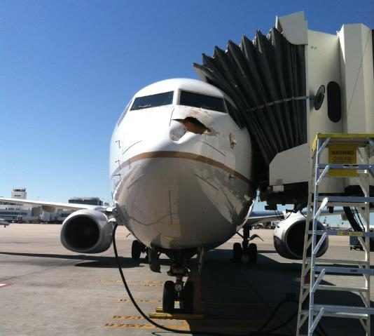 Impresionante impacto de un pájaro contra un Boeing que estaba aterrizaba 3