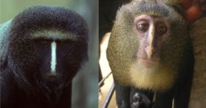 Animales y Naturaleza 15