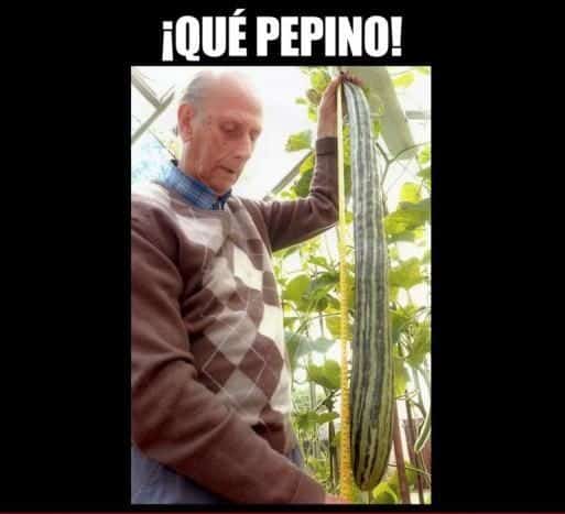 noticias Los récord Guiness más curiosos