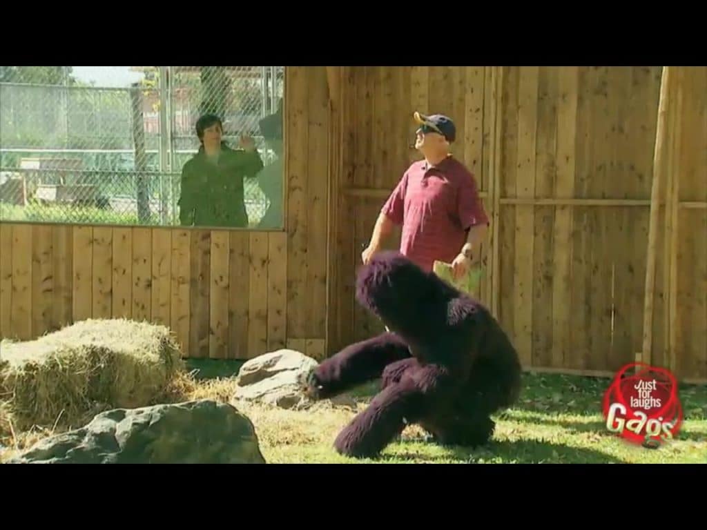 Hombre ciego se pierde y entra en el recinto de los gorilas del zoo 1