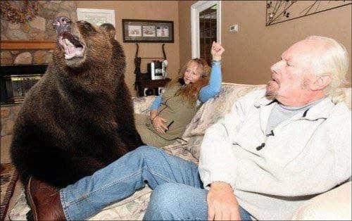 familia-tiene-un-oso-en-casa-3