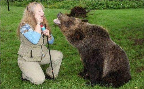 familia-tiene-un-oso-en-casa-7