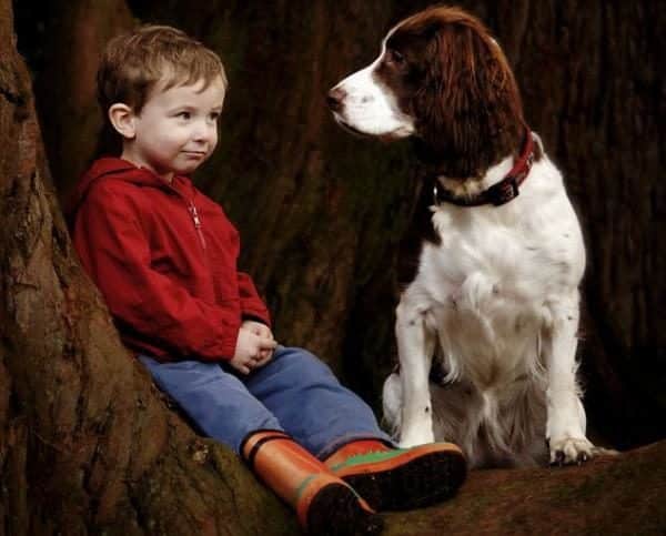 noticas Imágenes del mejor fotógrafo de perros del mundo 