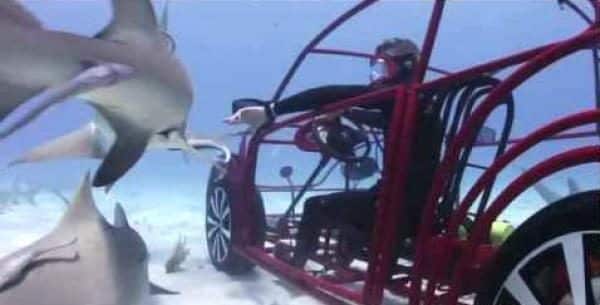 noticias El primer coche a prueba de tiburones