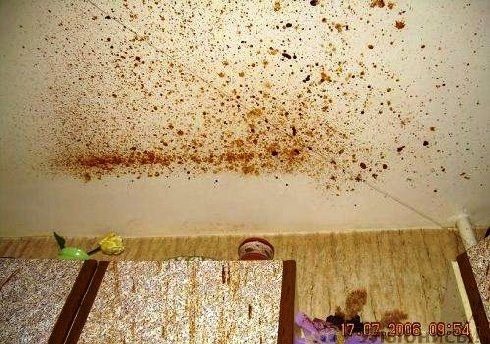 Cocina destrozada por leche condensada 10