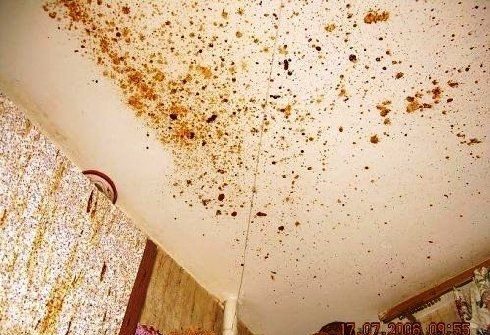 Cocina destrozada por leche condensada 3