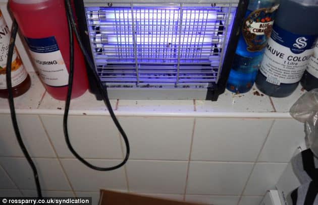 noticiascuriosas El restaurante con la cocina más asquerosa del mundo