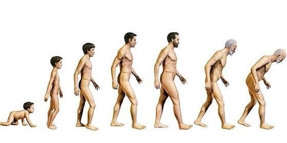 Test: calcula tu edad biológica 1 Test: calcula tu edad biológica 2