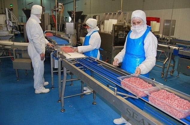 Matadero en Rumania: No solo los supermercados tienen carne de caballo si no tambien podrian tener de burro 1 Matadero en Rumania: No solo los supermercados tienen carne de caballo si no tambien podrian tener de burro 2