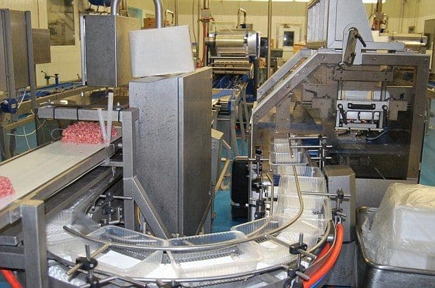 Matadero en Rumania: No solo los supermercados tienen carne de caballo si no tambien podrian tener de burro 8 Carne de caballo
