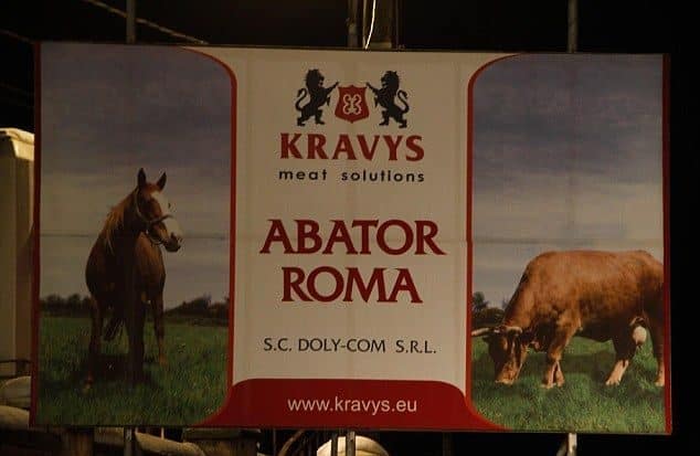 Matadero en Rumania: No solo los supermercados tienen carne de caballo si no tambien podrian tener de burro 2 Matadero en Rumania: No solo los supermercados tienen carne de caballo si no tambien podrian tener de burro 3