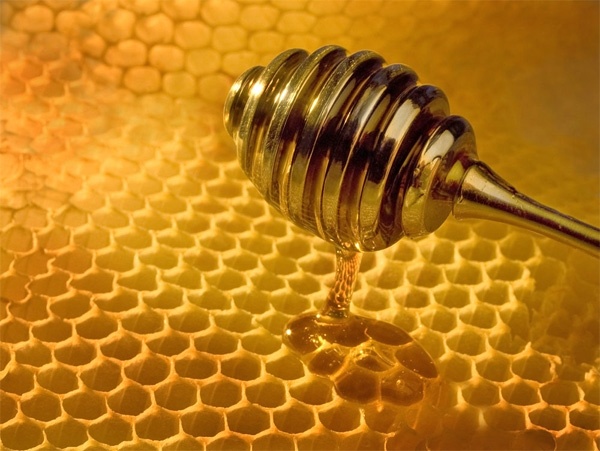 Un láser “marciano” para detectar la miel falsa 5