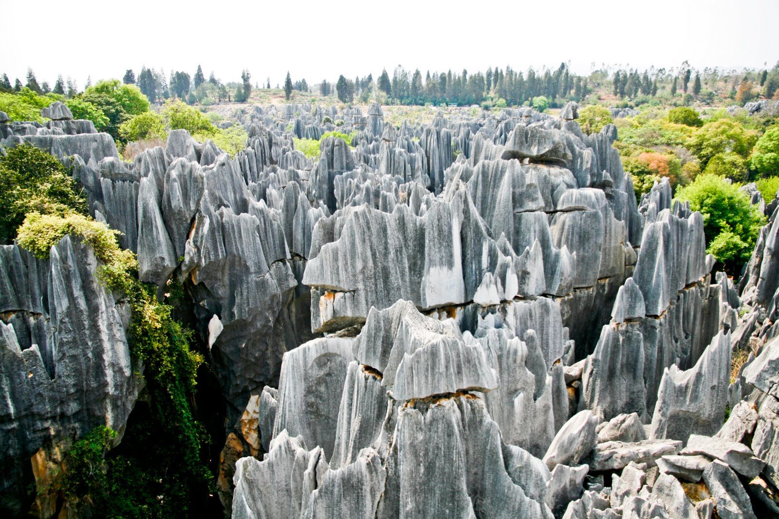 noticiascuriosas paisajes alienígenas en la tierra