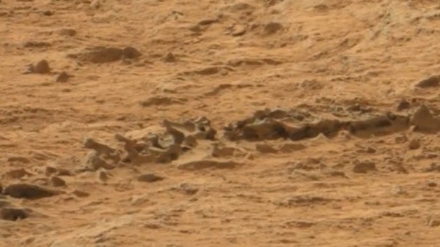 #Video El Curiosity puede haber fotografiado un esqueleto animal en Marte 1 #Video El Curiosity puede haber fotografiado un esqueleto animal en Marte 2