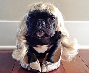 Animales y Naturaleza 24