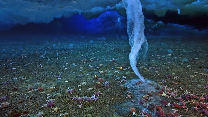 noticiascuriosas Las 10 mejores fotos cientificas del año 2012