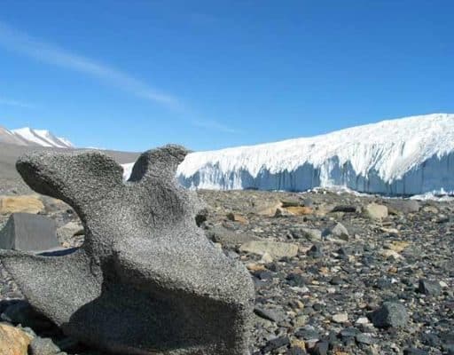 noticiascuriosas paisajes alienígenas en la tierra