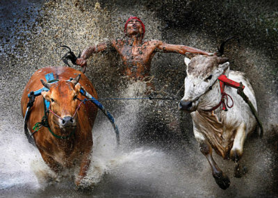 La historia de 10 fotos ganadoras del World Press Photo 2013 3