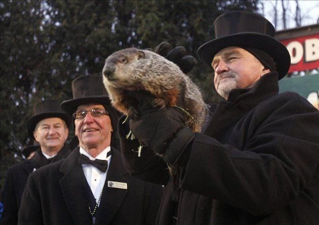 Piden "pena de muerte" para marmota meteoróloga